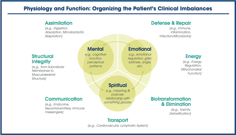 Functional Medicine: What is it? How does it work? Why should you try it?